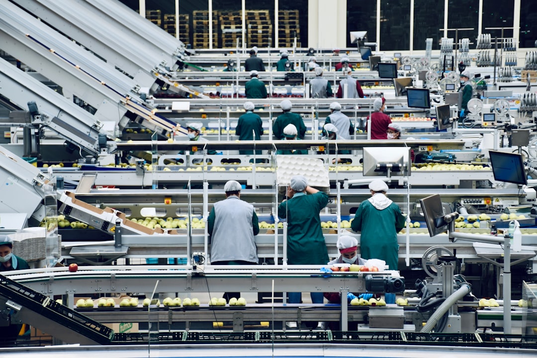 Many warehouse workers packaging fruit on several conveyor belts.