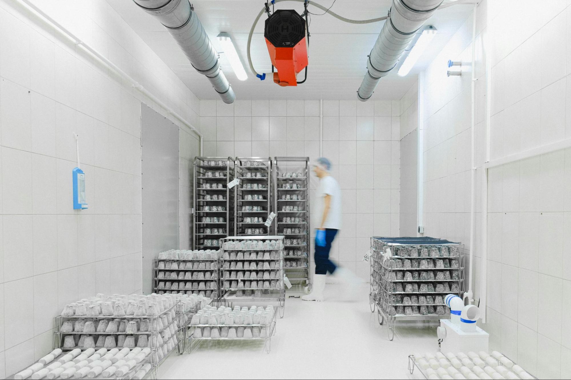 A person walking through a room full of perishables, representing a stage in the cold chain logistics process.